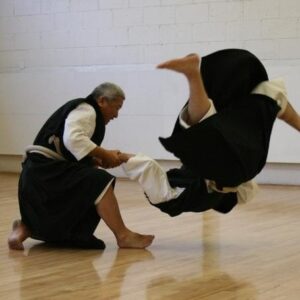 shorinji kenpo