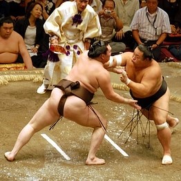 sumo