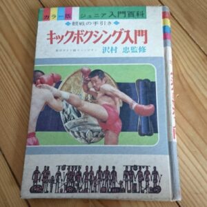 The Audience Guide of Kickboxing
